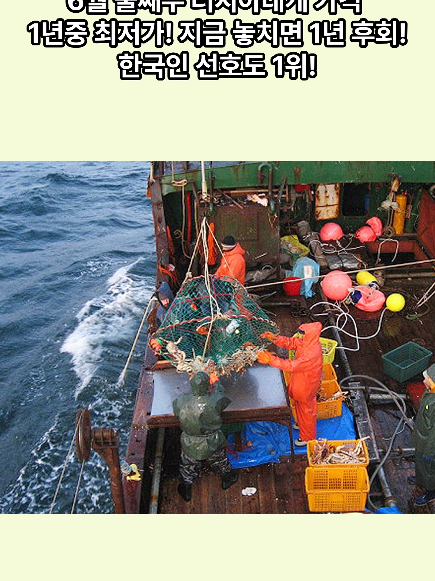@킹크랩 대게 동해수산유통