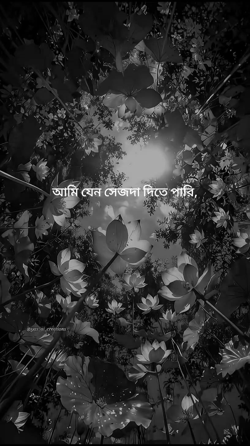 @𝑹𝒂𝒋𝒐𝒏 𝑨𝒉𝒎𝒆𝒅💫🍁