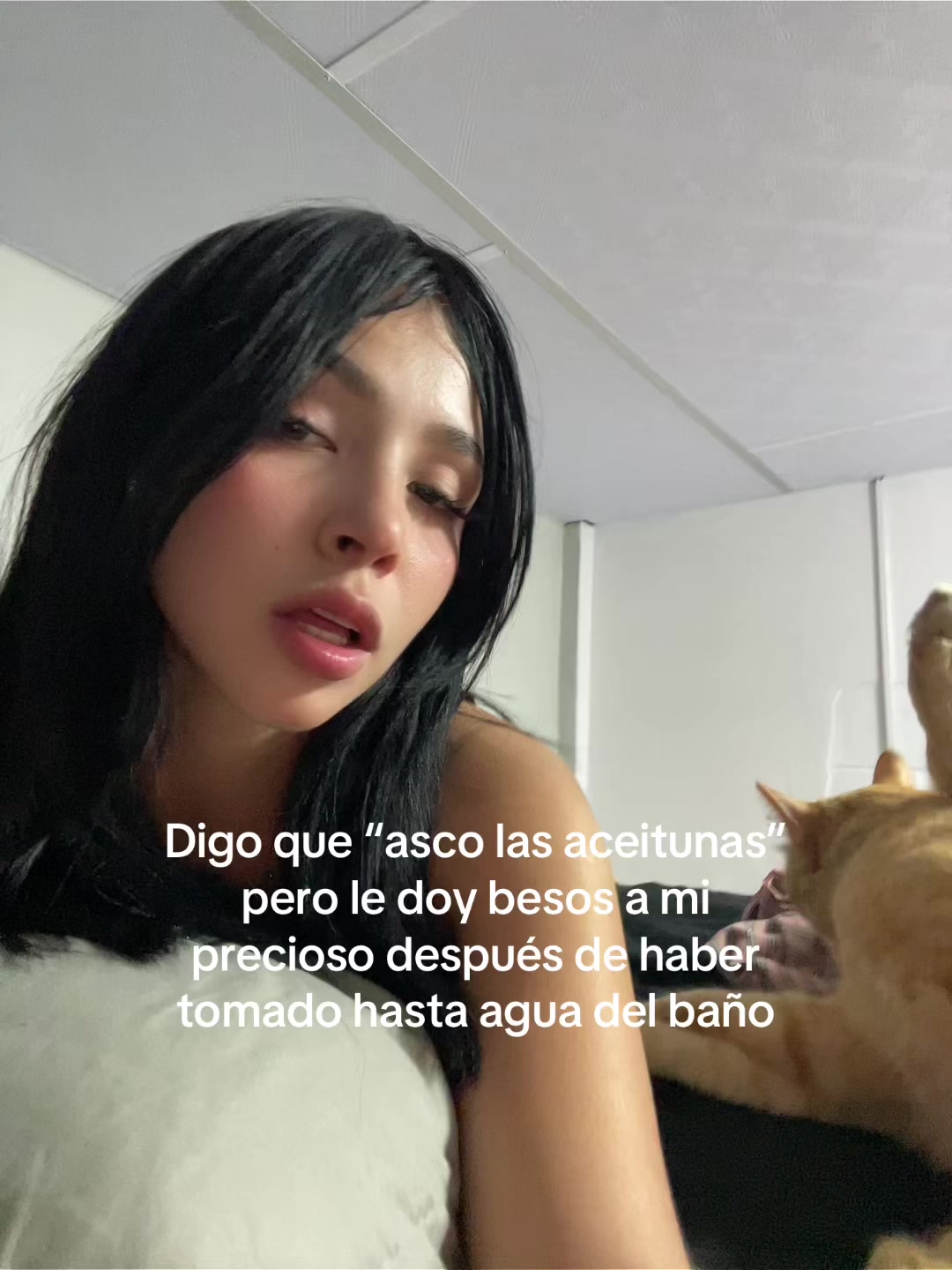@Inoxia