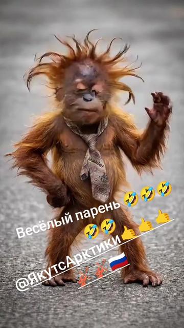 @🇷🇺irinasamara63 ♍ 🇷🇺