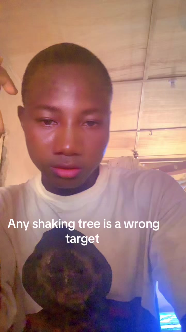@Abodie