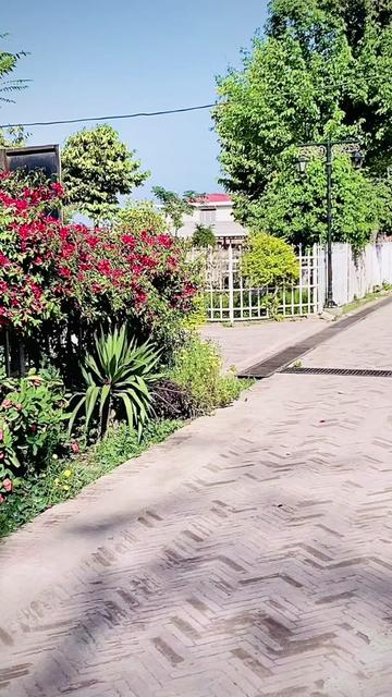 @𝓣𝓪𝔂𝔂𝓪𝓫▬t¥pi§t