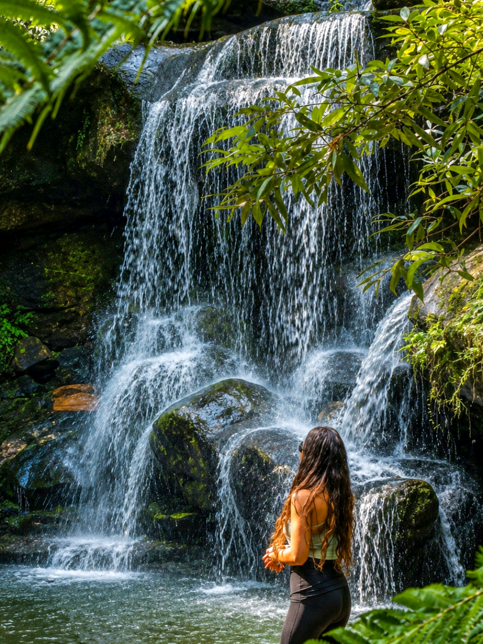 @Nature Love Australia 🌴