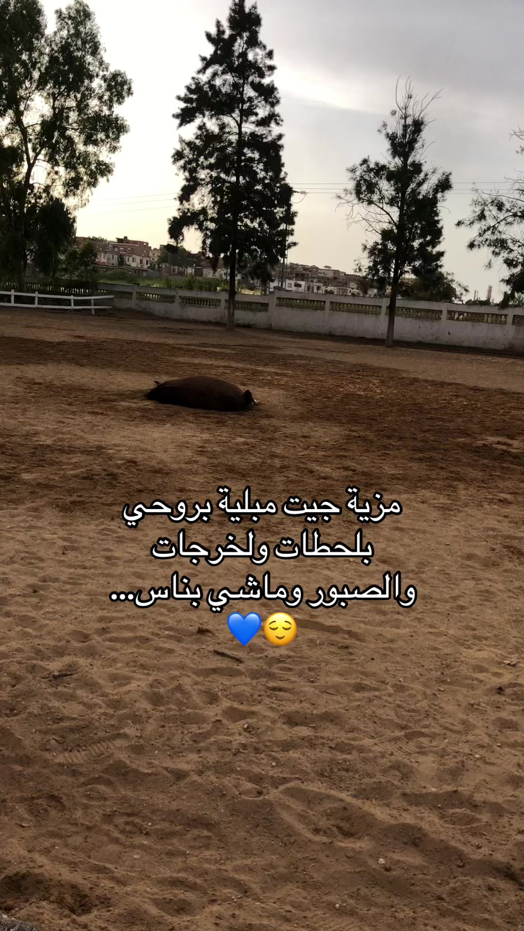 @🏋️🖤Nour💙🐊