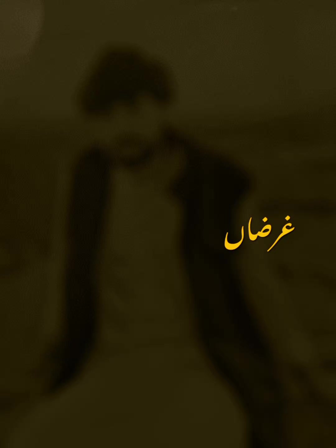 @Qalab Abbas