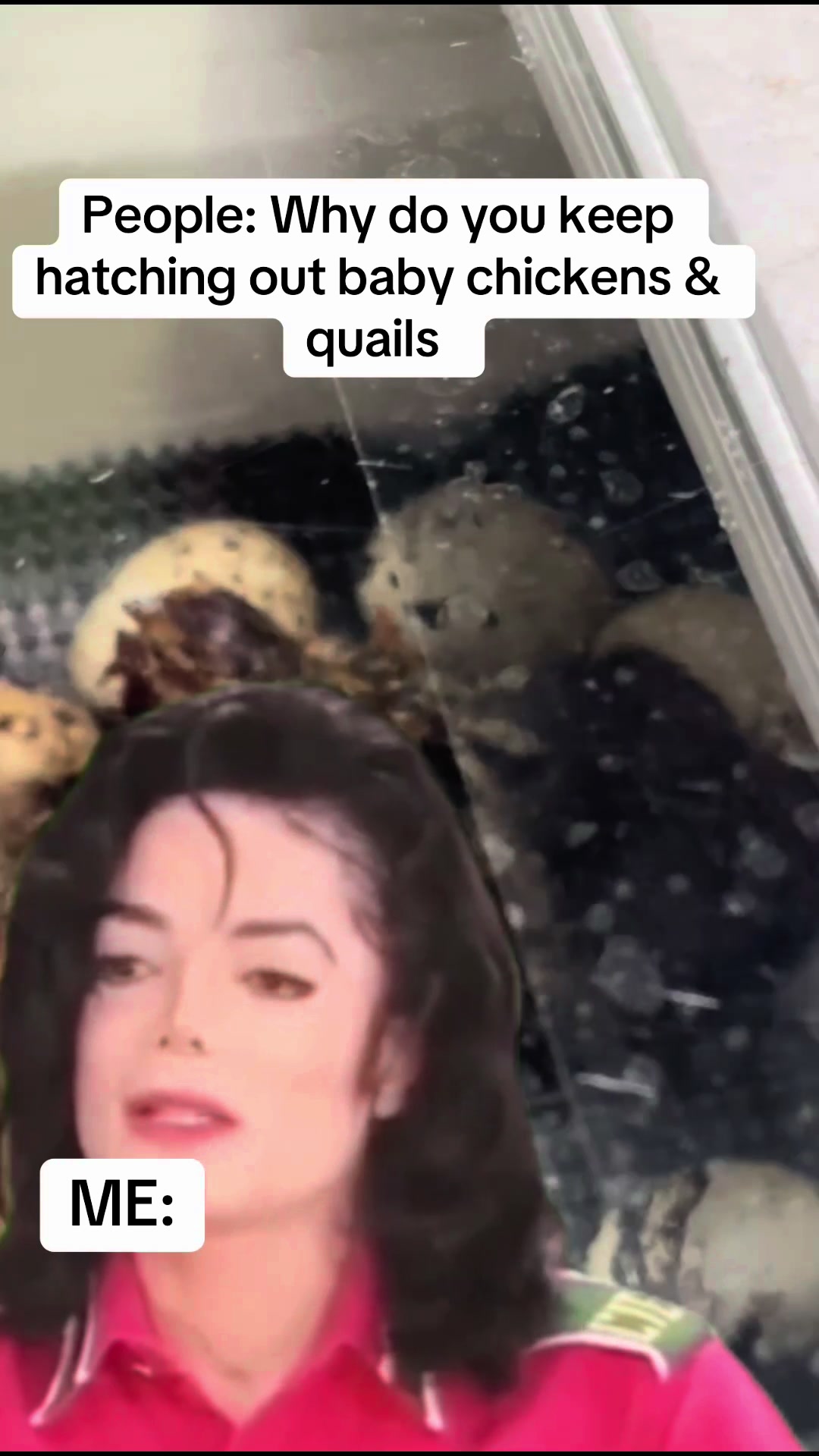 @NonniesFunnyFarm