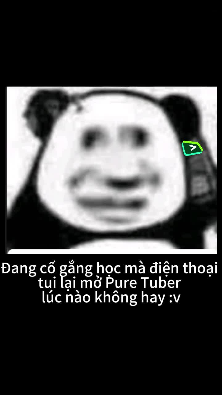 @Pure Tuber Vietnam