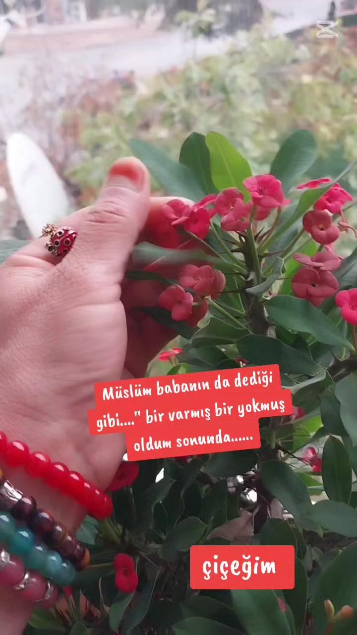 @🌹🌹ELA GÖZLÜ 🌹🌹