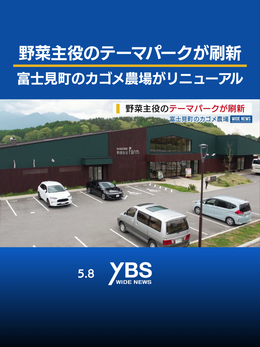 @YBSニュース 山梨【公式】
