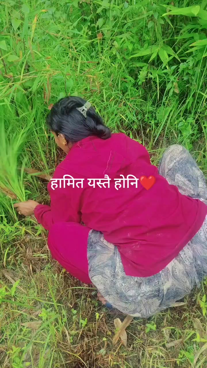 @kamalakc270