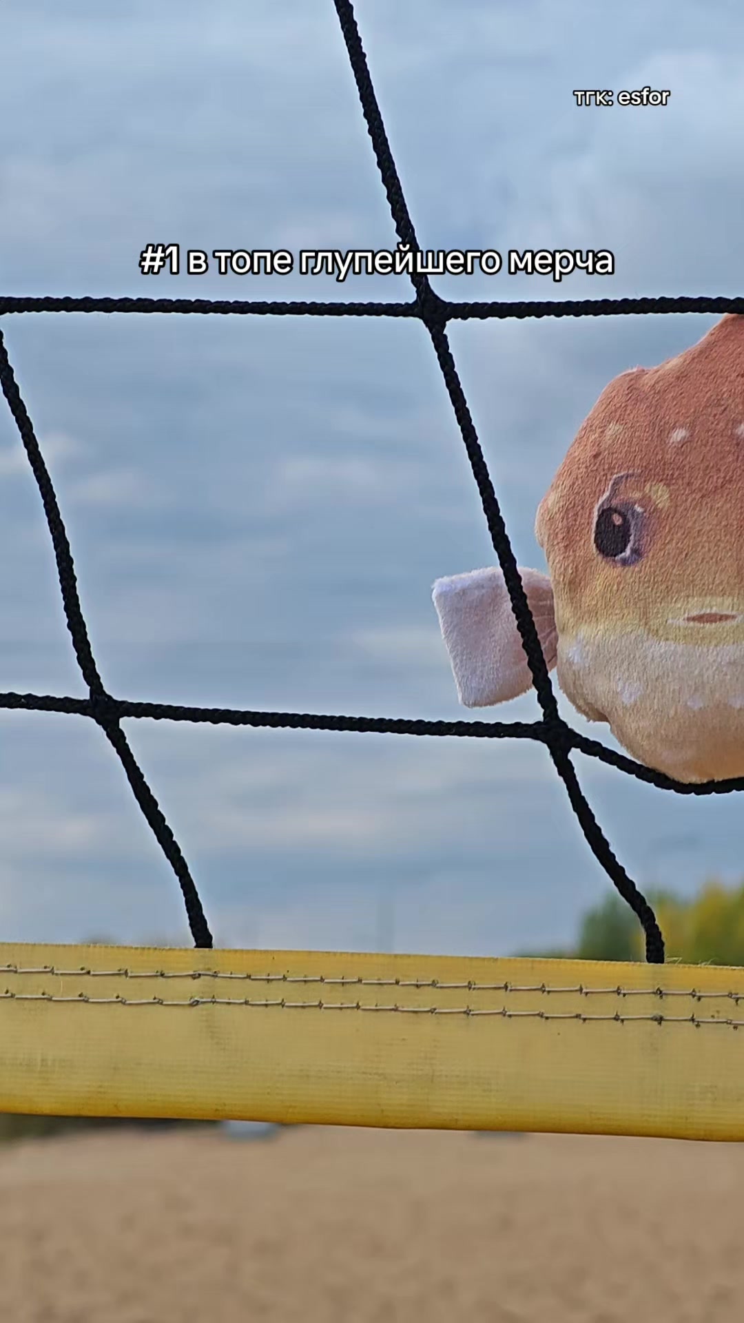 @эсфор