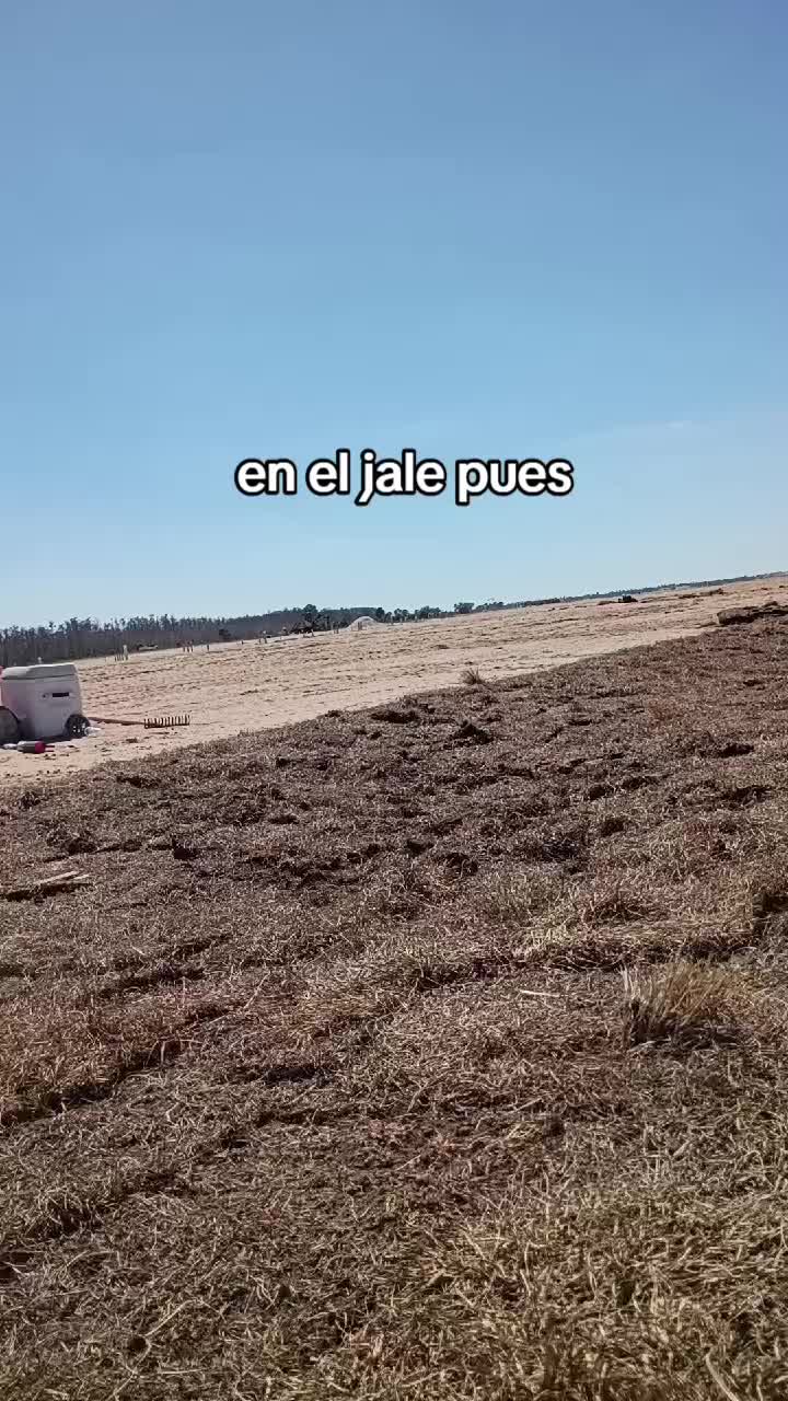 @Neto  GT 502 🇬🇹🇬🇹