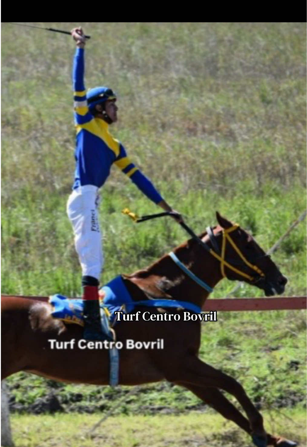 @TURF CENTRO BOVRIL