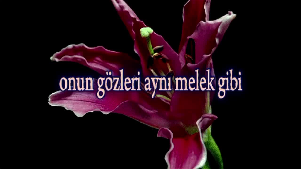 @𝐒𝐓𝐀𝐑'𝐒