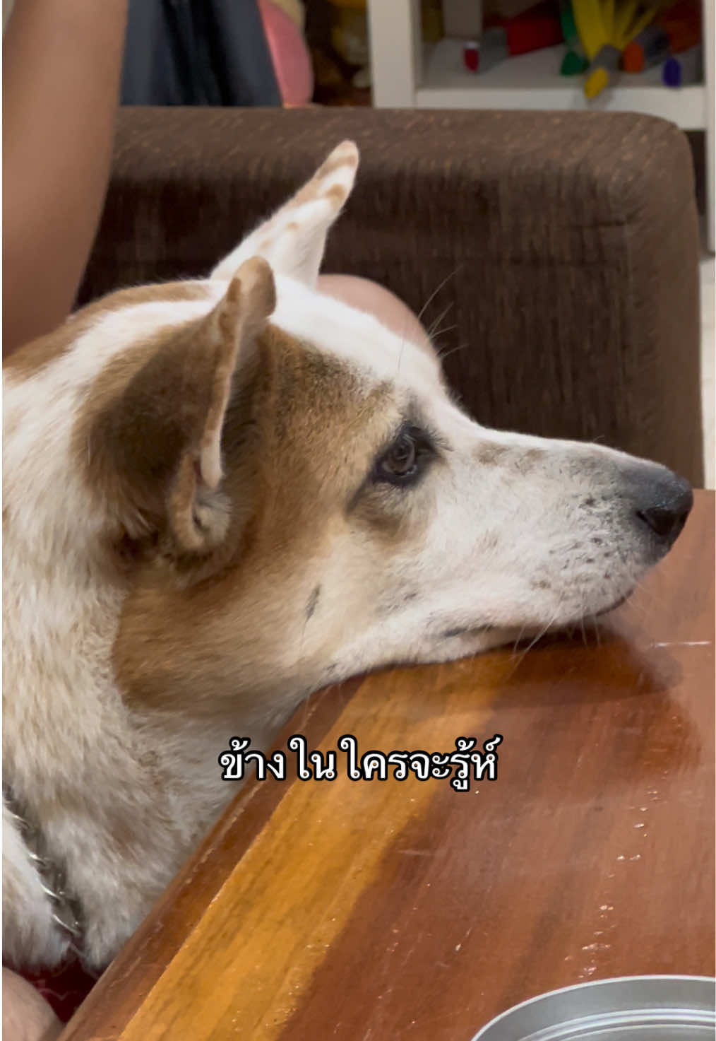 @แคพรูวห์