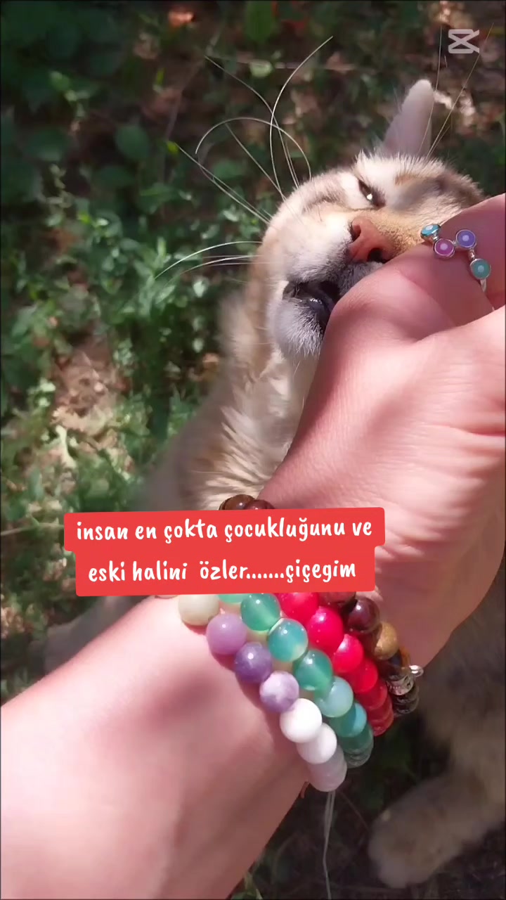@🌹🌹ELA  G&Ouml;ZL&Uuml; 🌹🌹