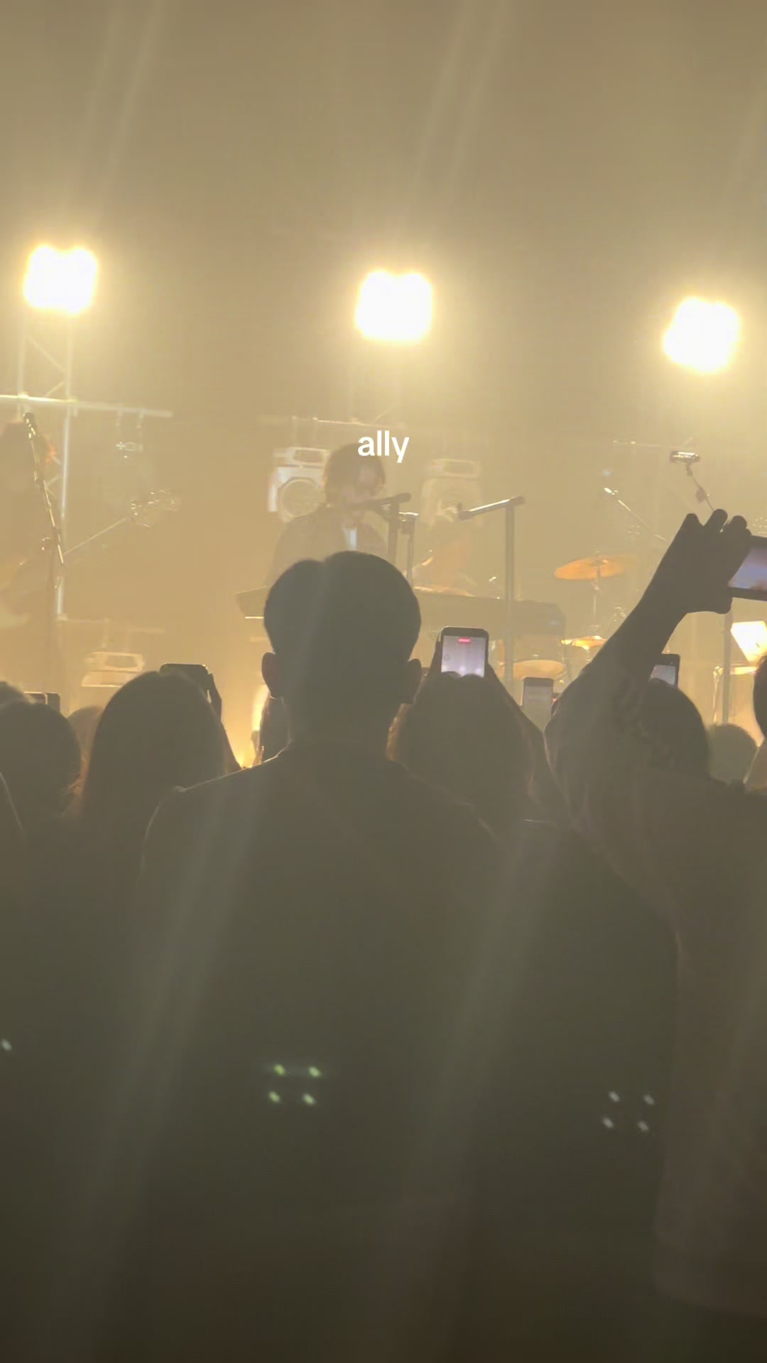 @allylogs