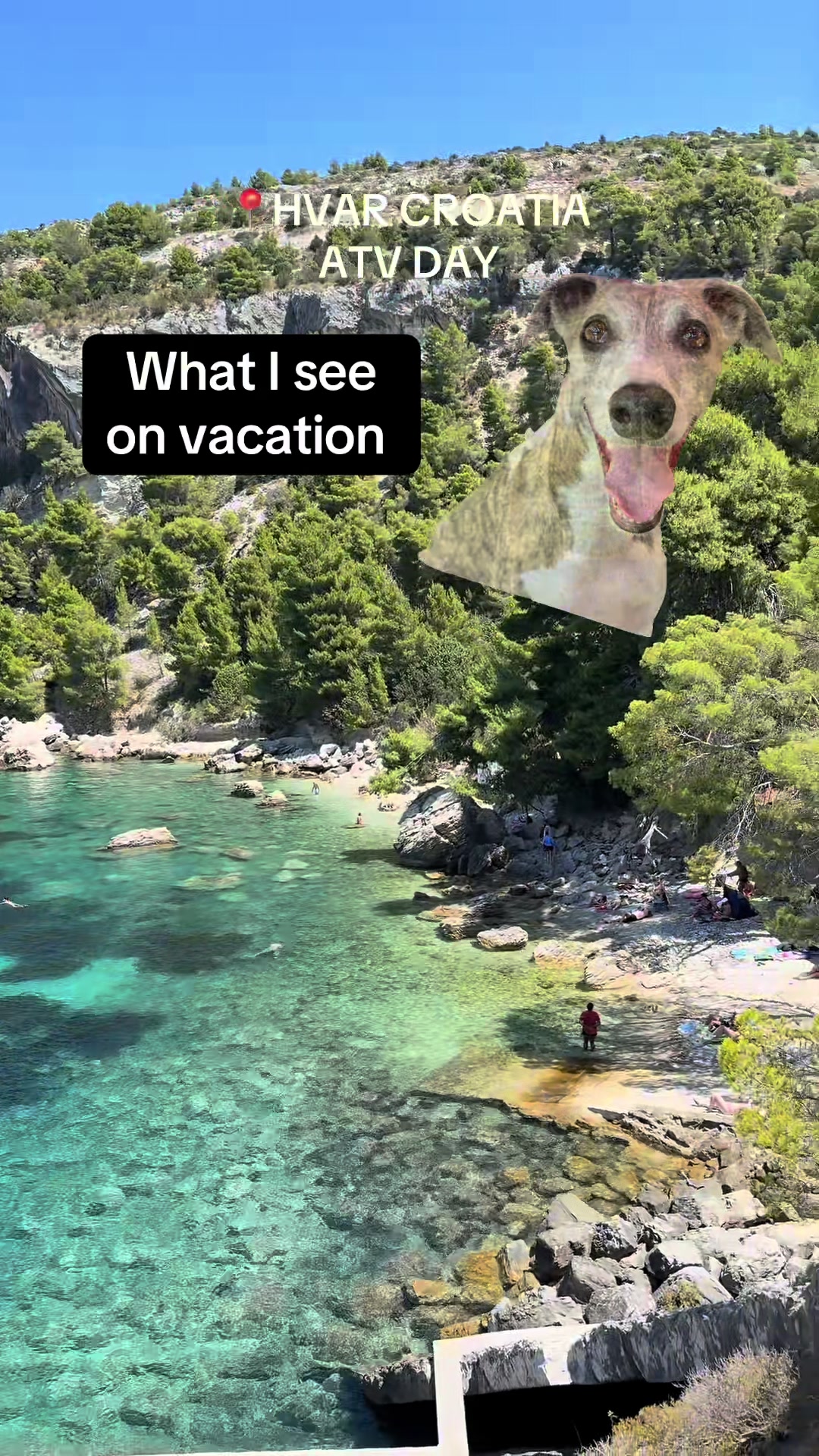 @Kayce Dog🤪🩷