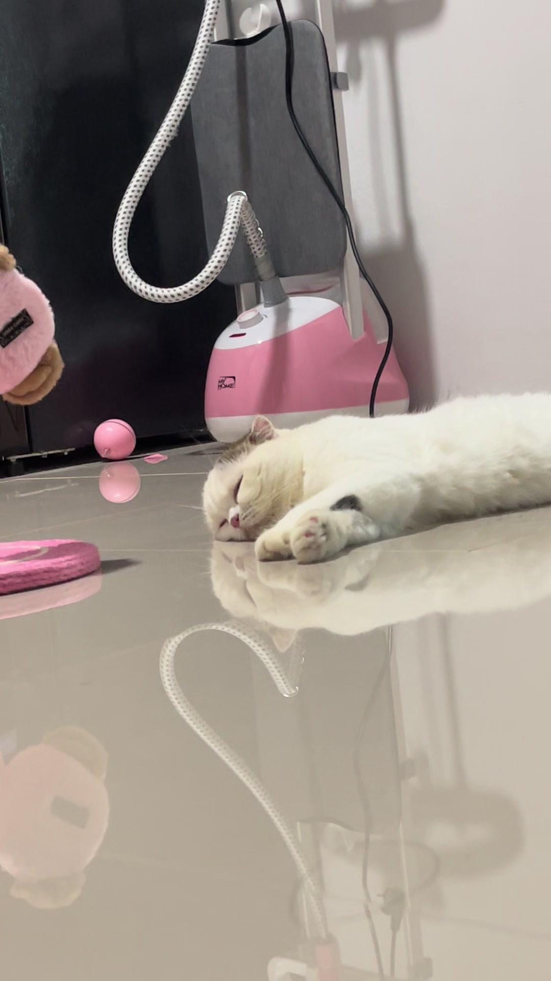 @𓊆🎀𓊇ถินถินเหมียว⋆｡‧˚ʚ🧸ɞ˚‧｡⋆