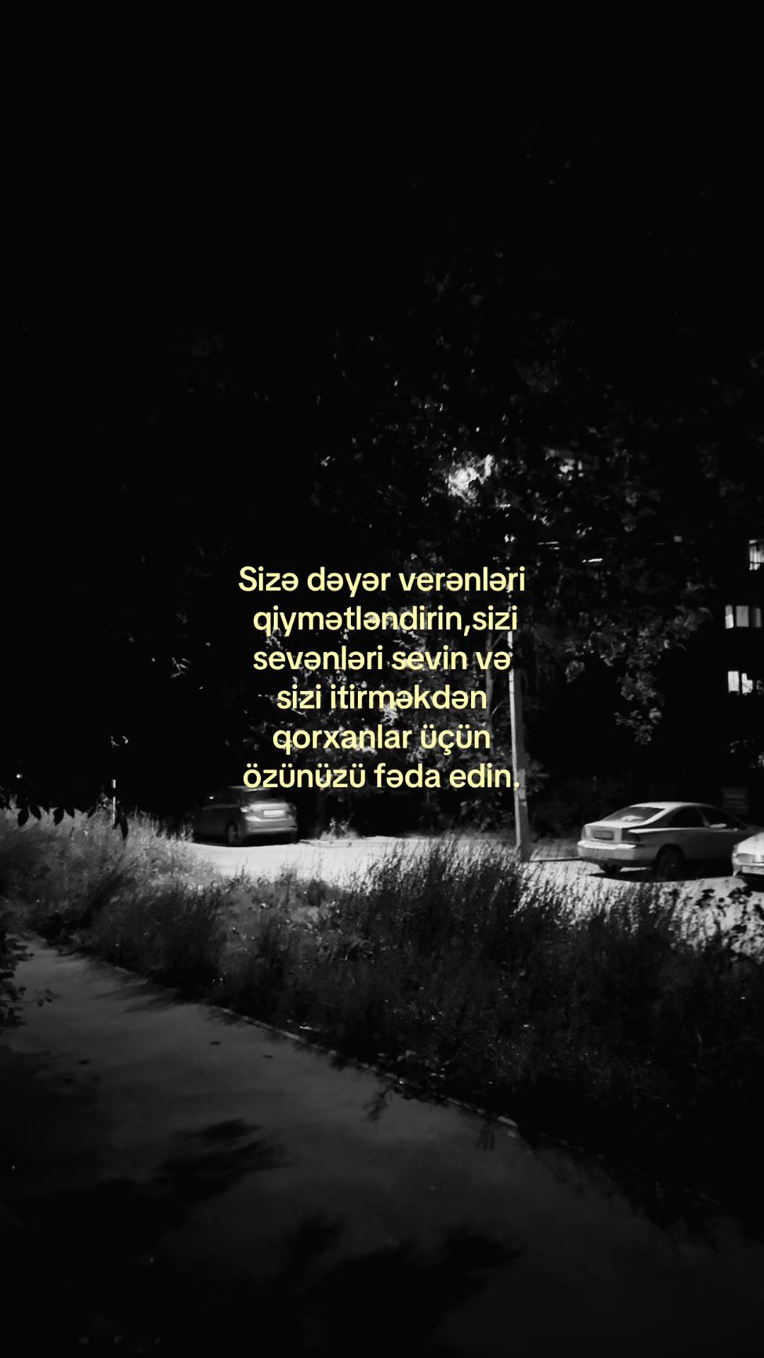 @Memmedows⚡️