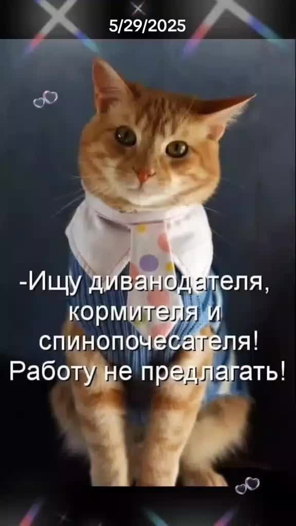 @Елена