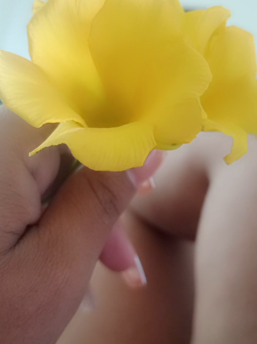 @🌻MILENA_HERRERA🌻