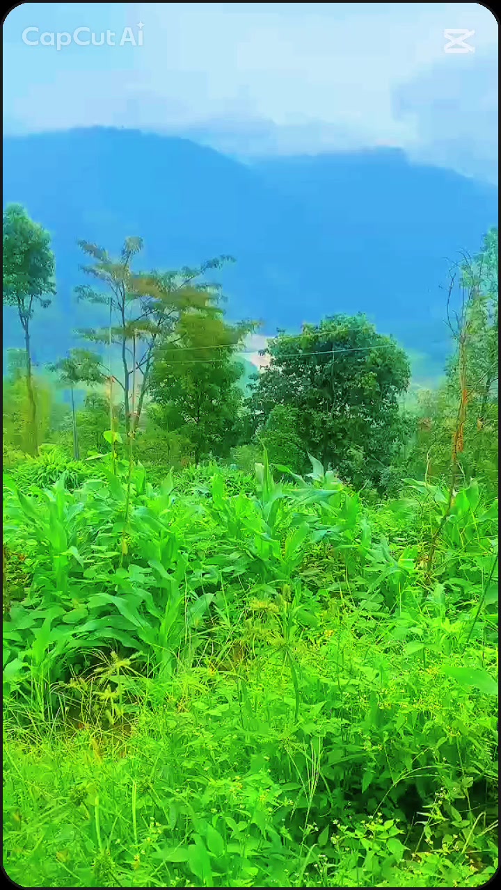 @@binitathapa🎀🎀