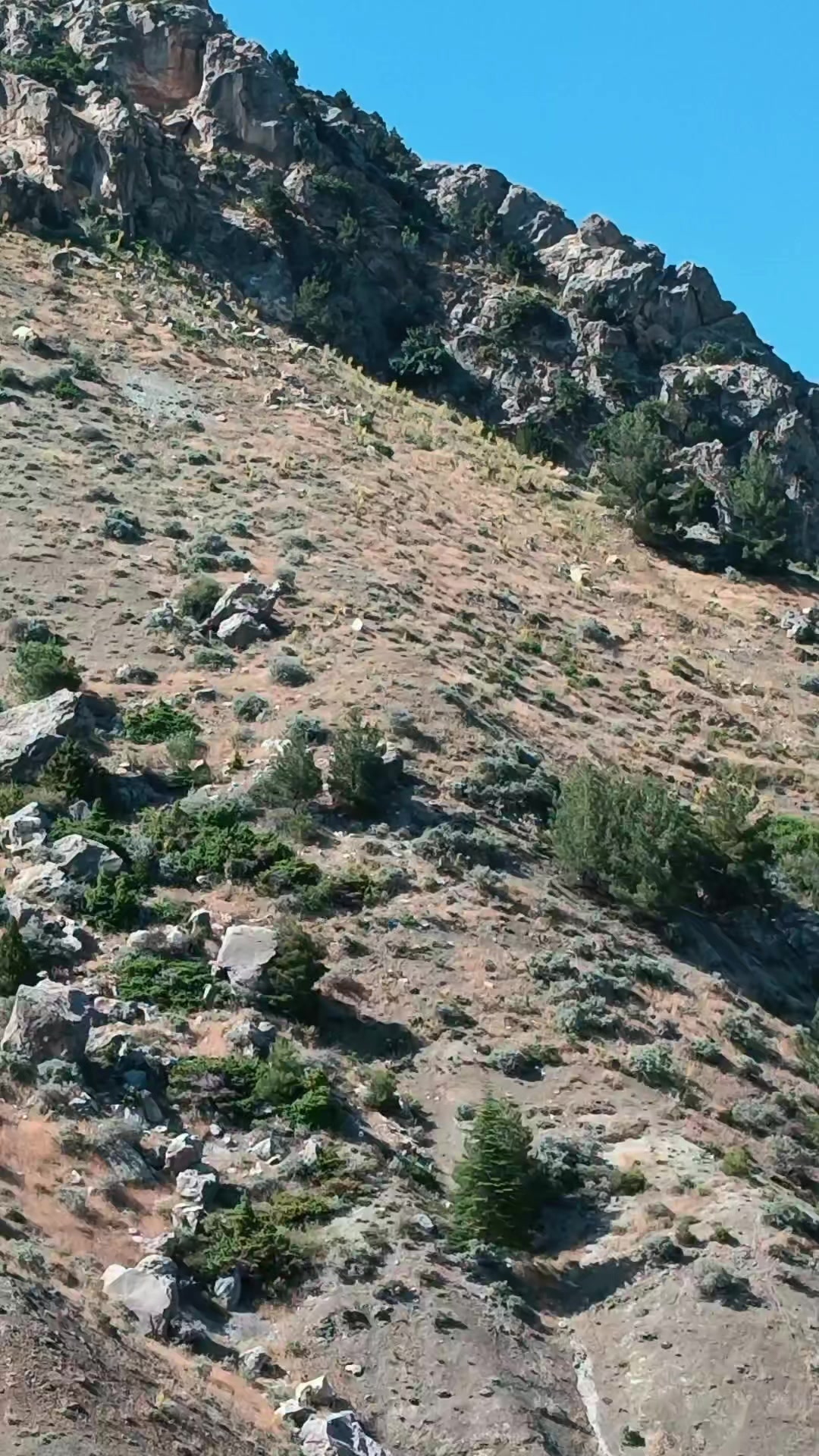 @DAĞCI.46