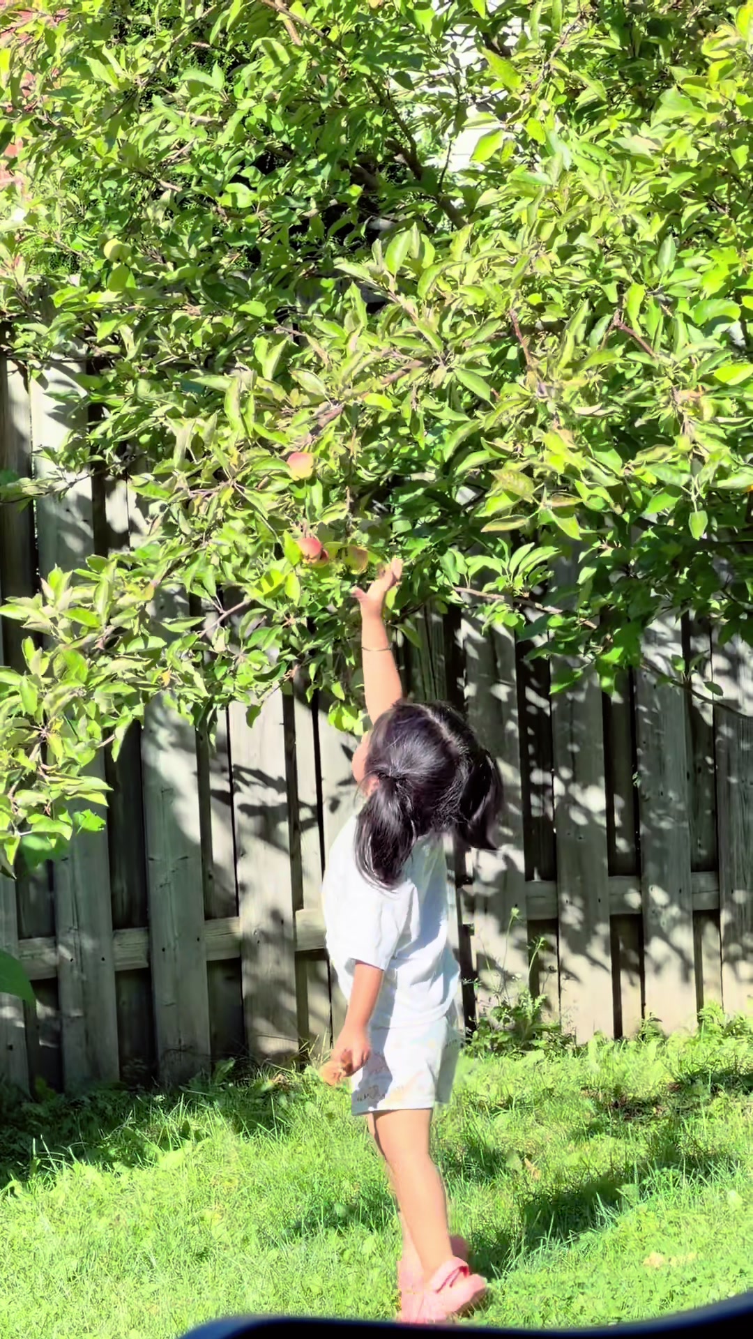 @สะใภ้อินเดียในแคนาดา 🇨🇦