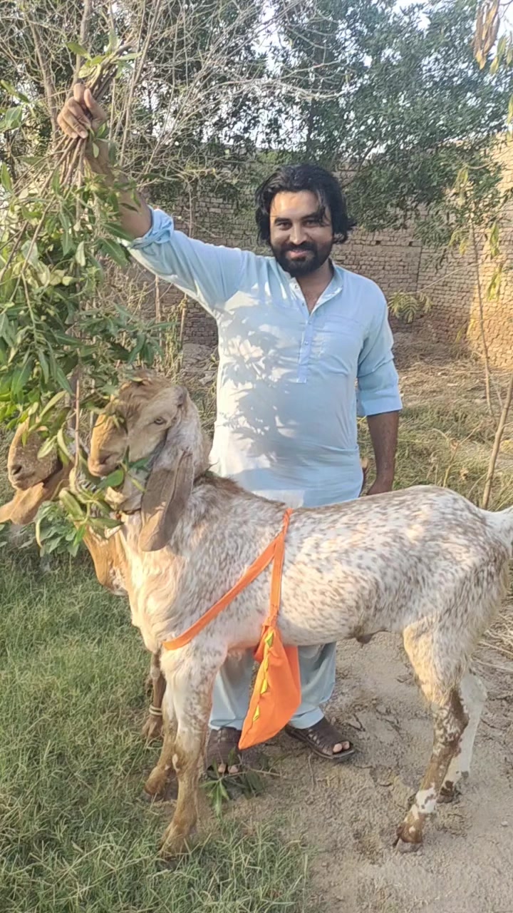 @۔جو مرضی کر لو آخر موت ہے۔