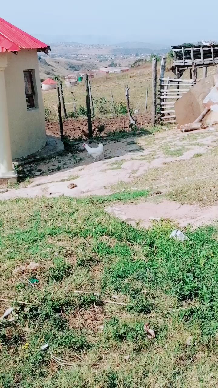 @mambemnyama