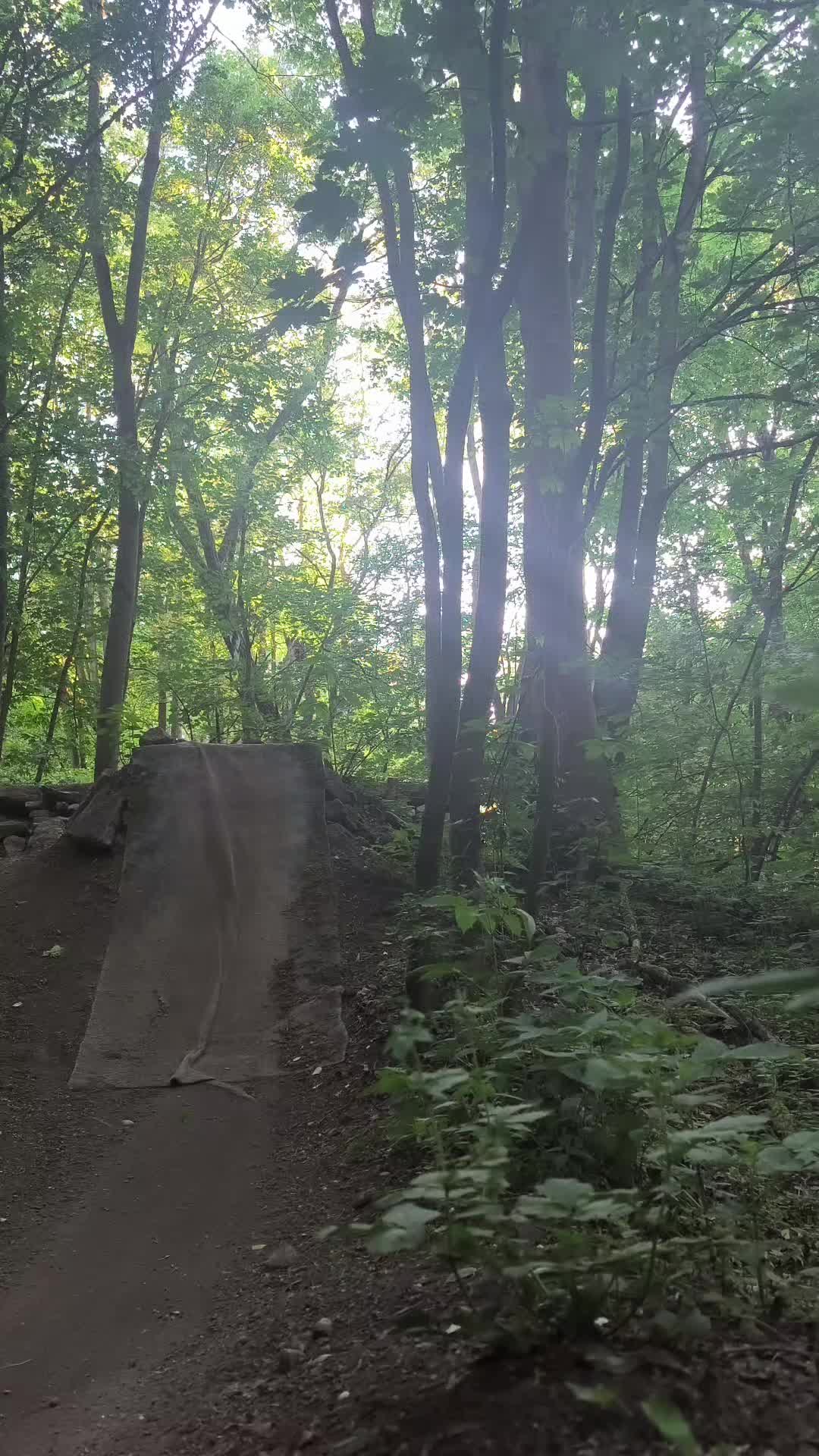 @LX_On_MTB