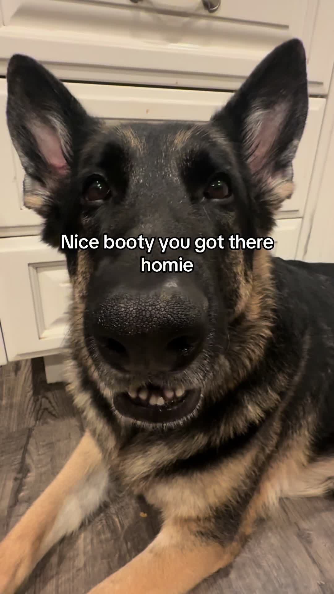 @Bhris