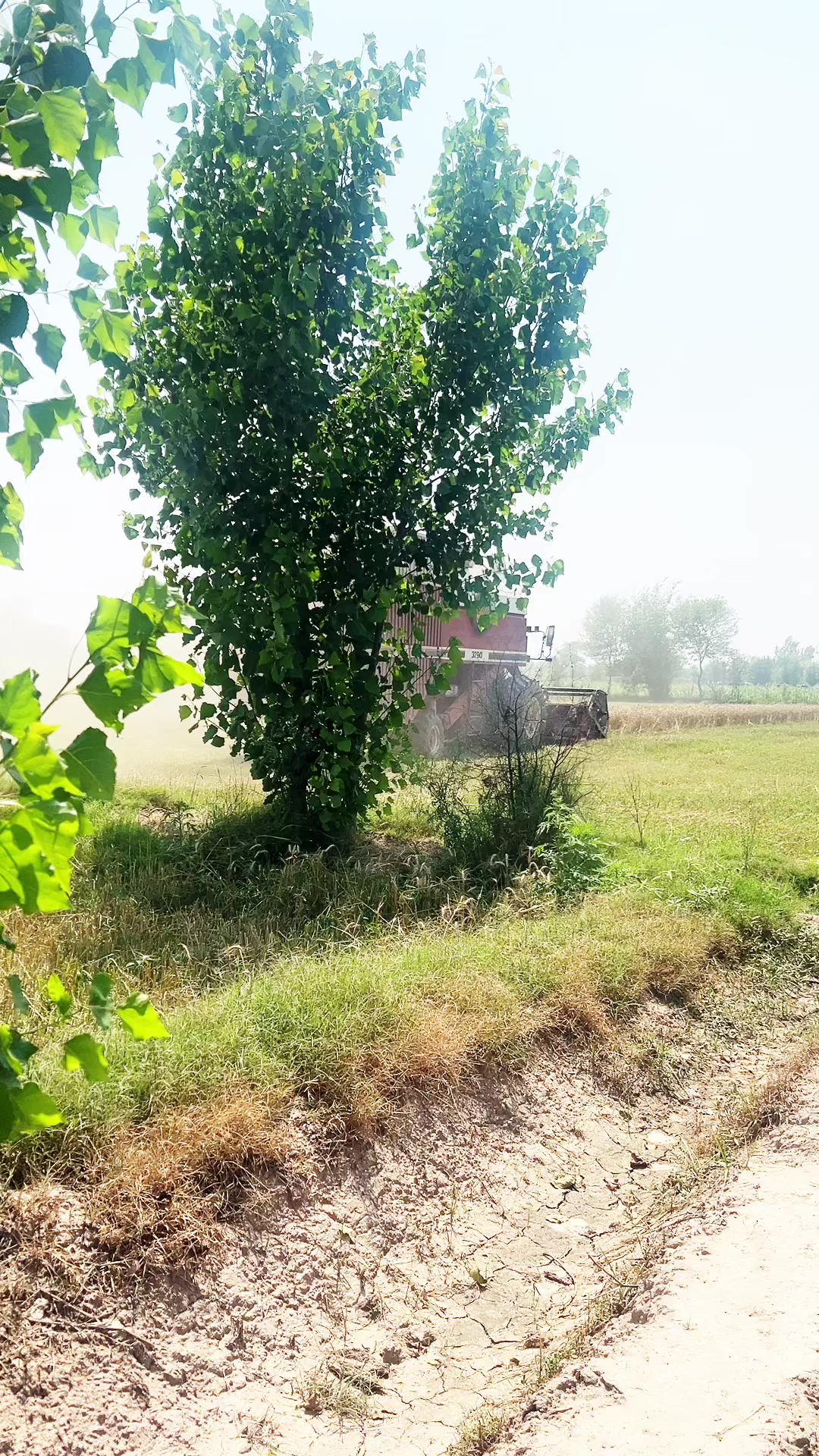 @SUNNY JAPPA