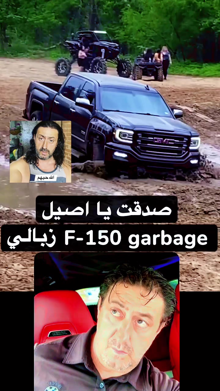 @Canadastallion 🇨🇦 الأصيل