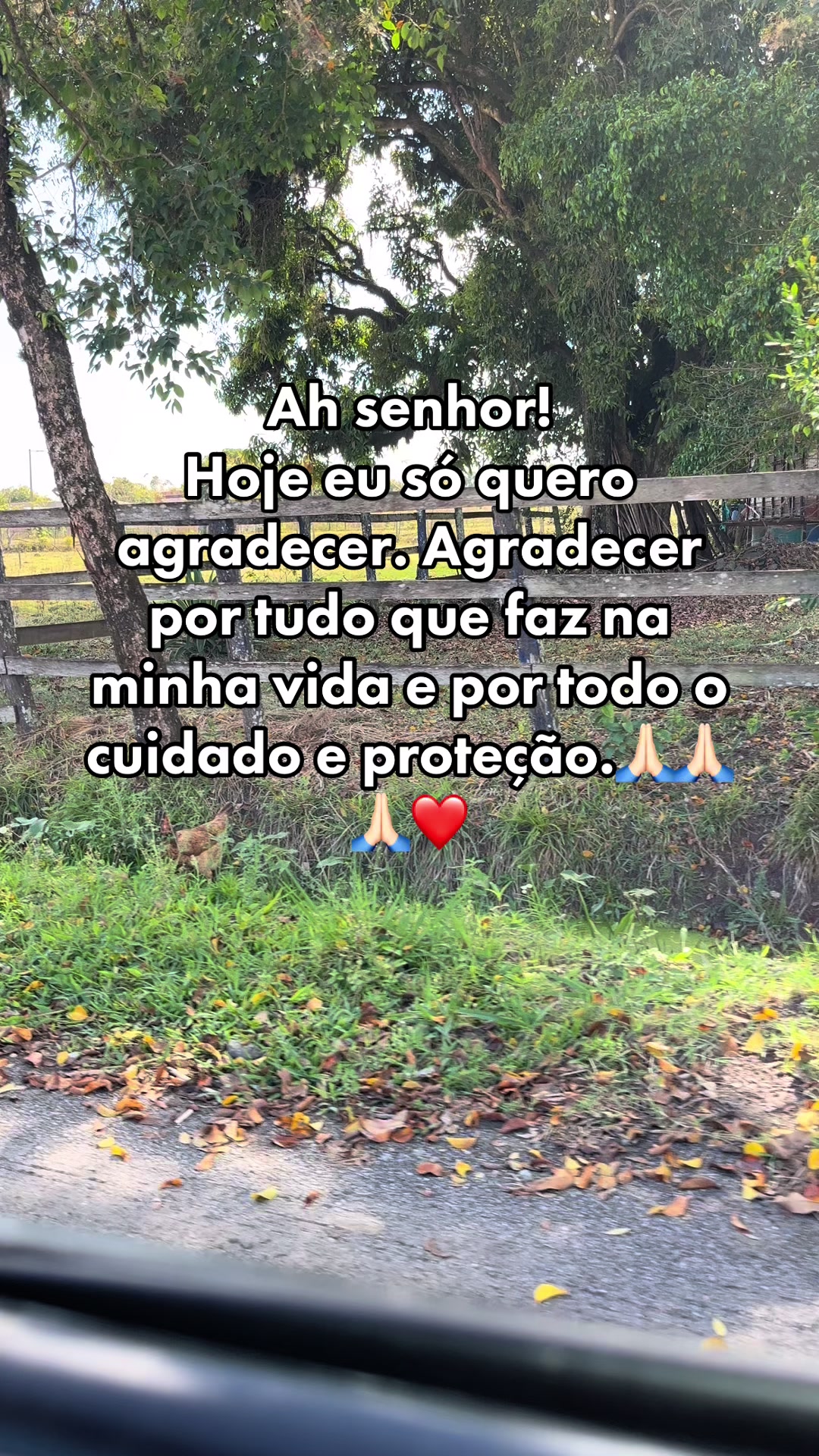 @Adriele Freire