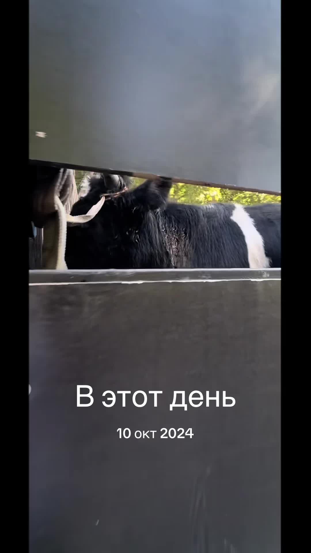 @Олександр