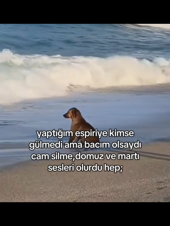 @zeynep