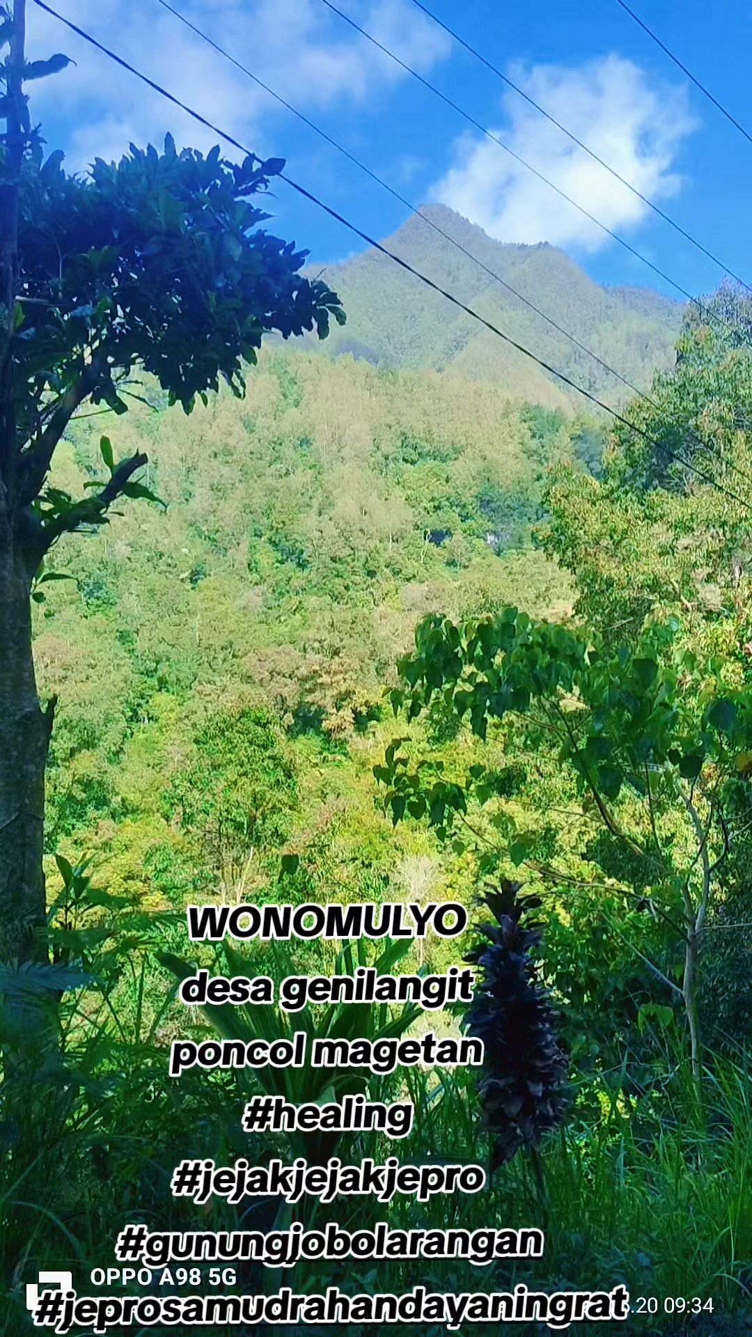 @JEPRO SAMUDRA