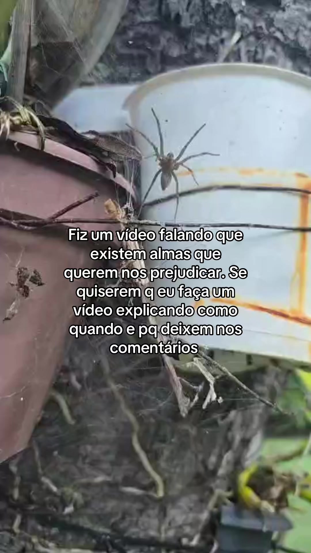 @Luli Trovão