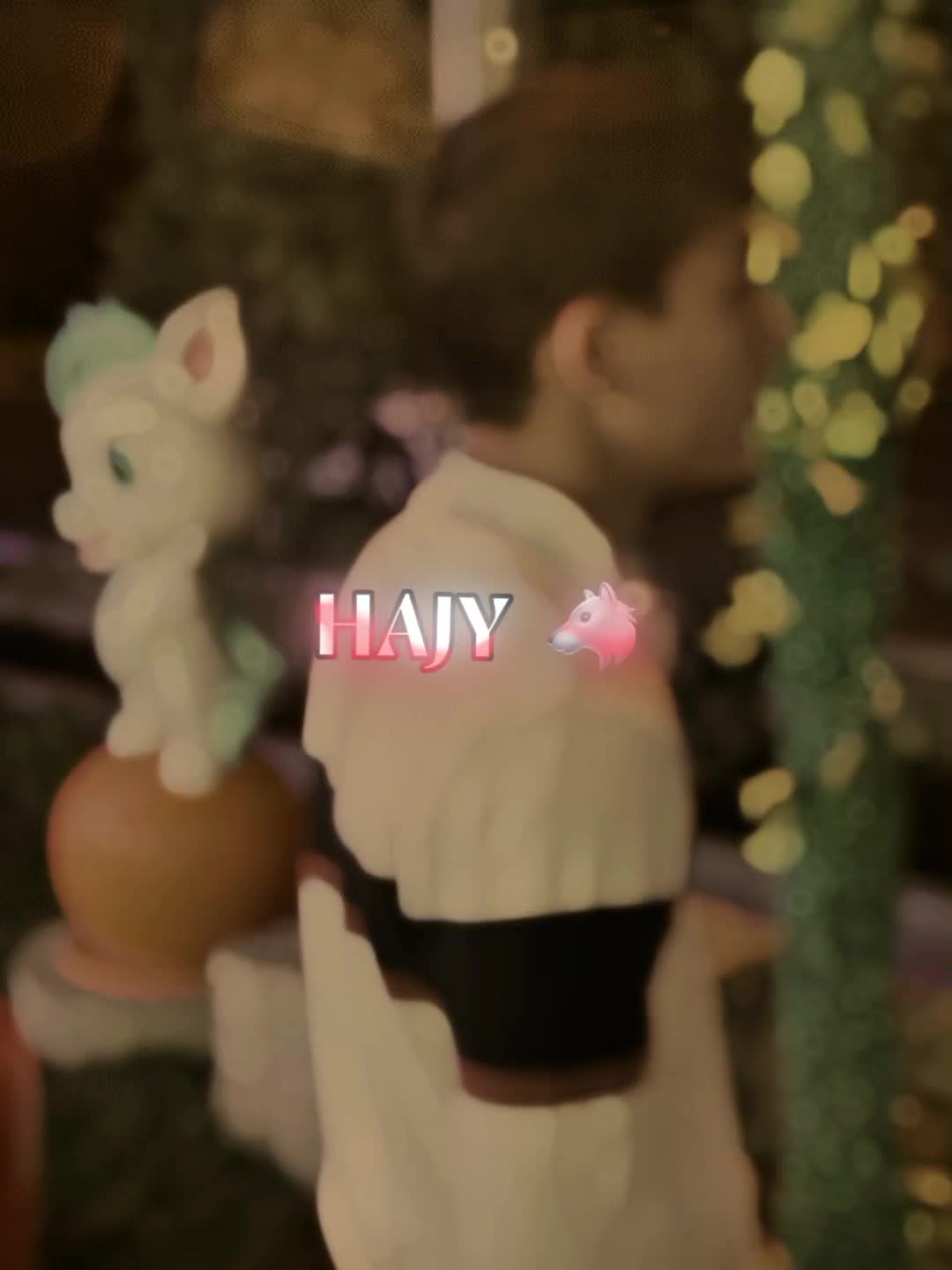 @HAJY 🐺
