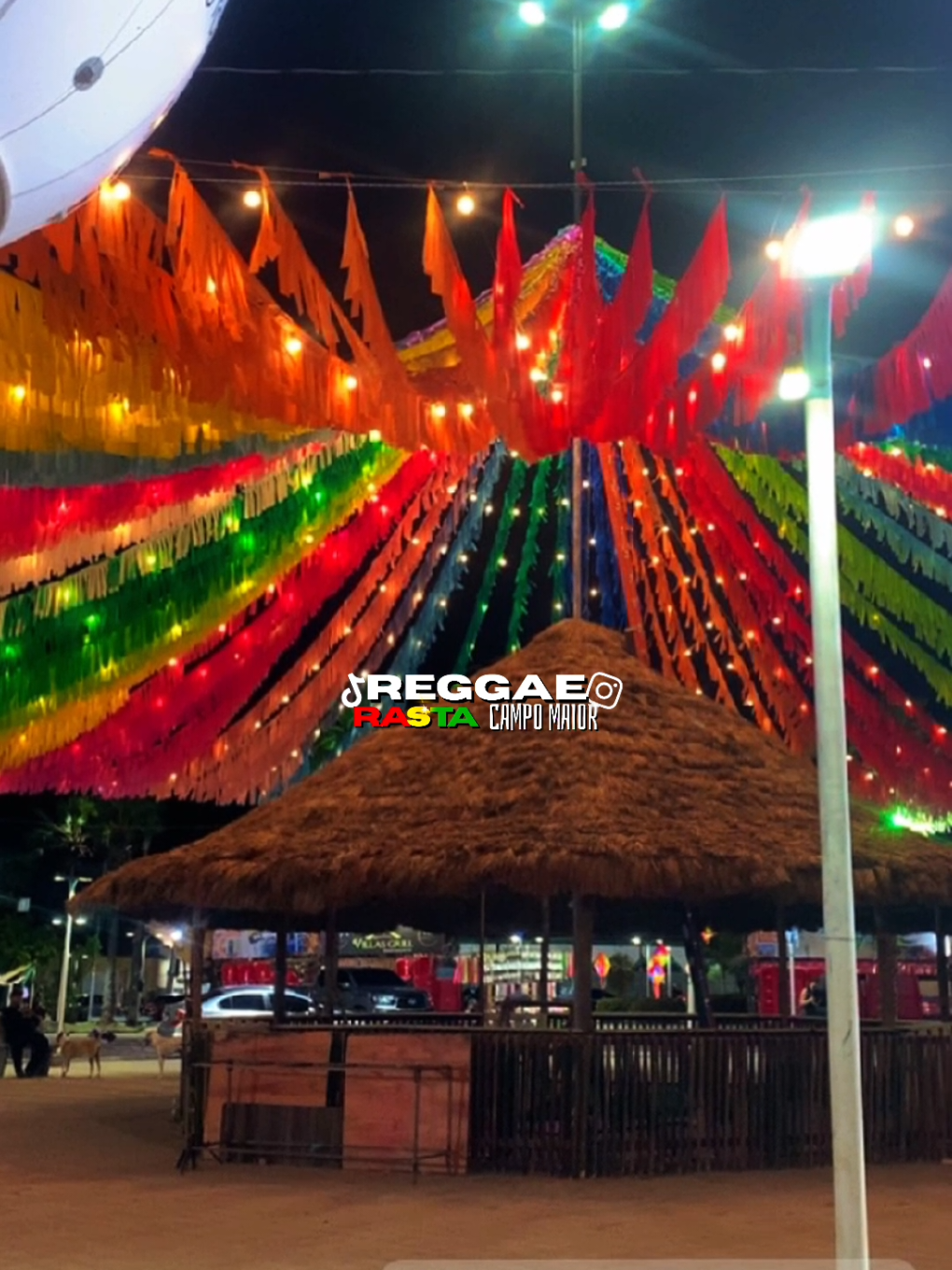 @REGGAE RASTA CM
