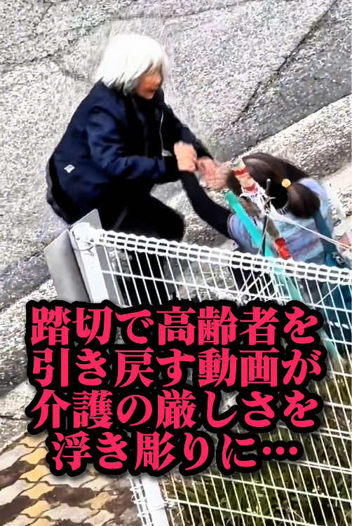 @春活channel