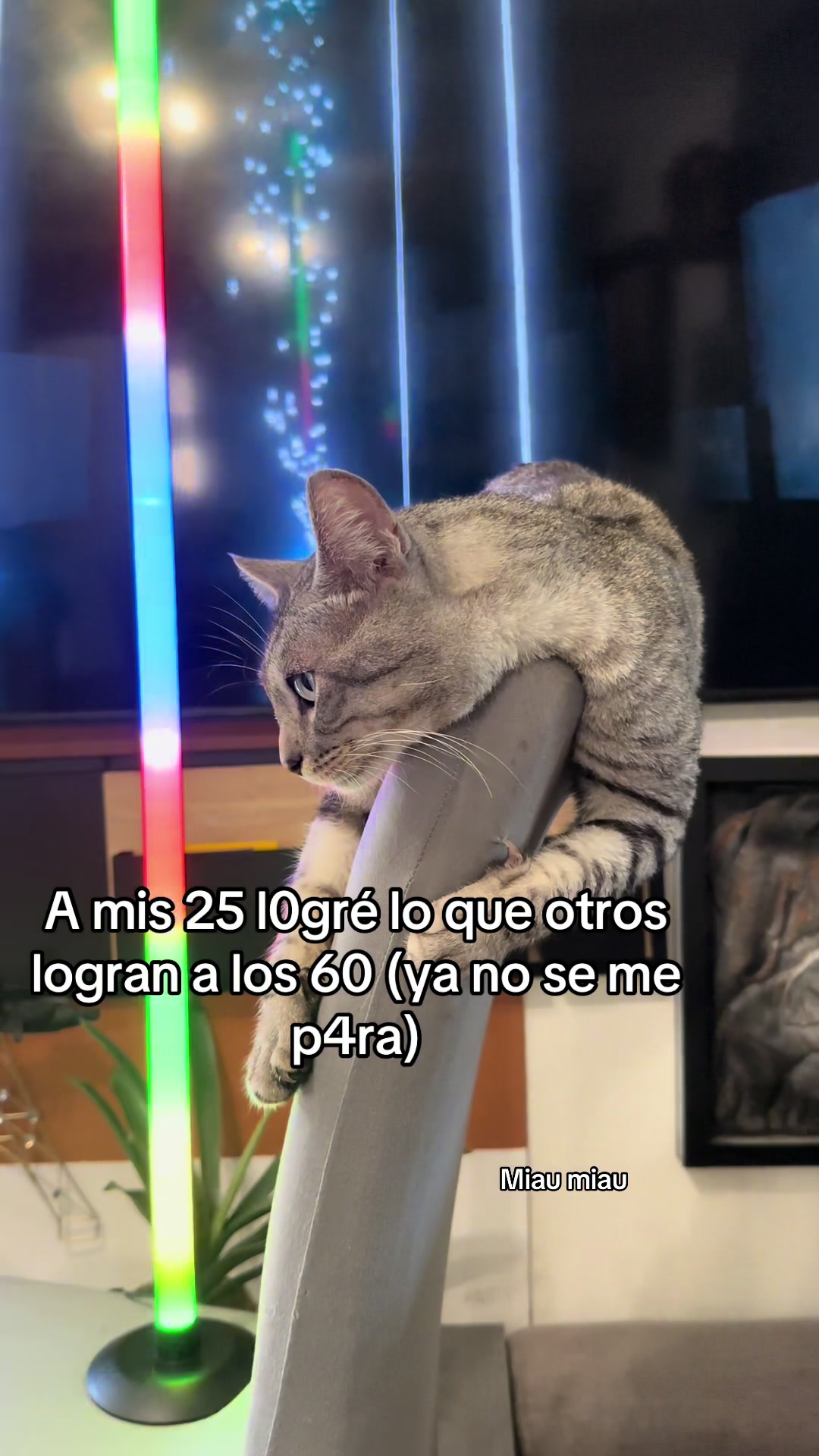 @Rodrigo and Watermelon the cat