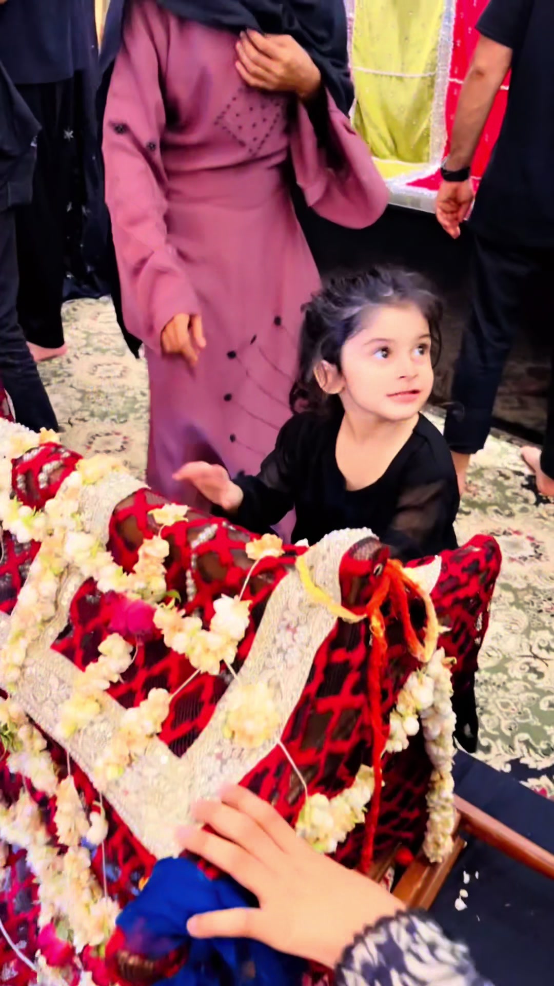 @Shehla Gul Official