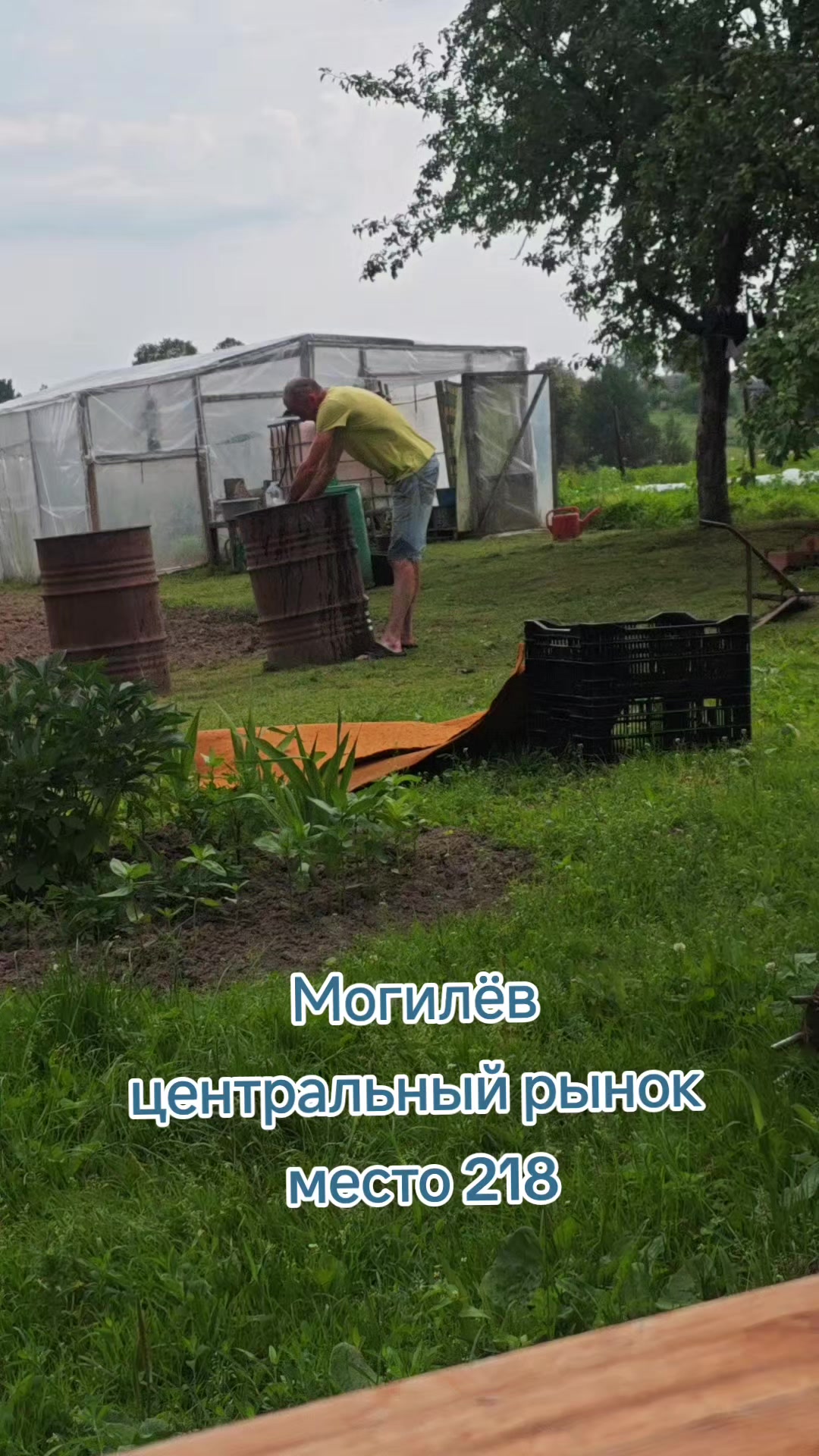 @Картофель Могилёв