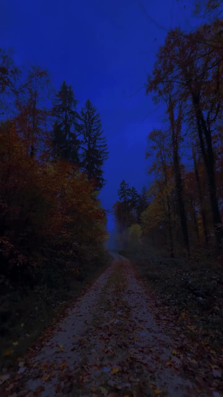 @♣ 𝐵𝓇𝑜𝓀𝑒𝓃 𝒮𝑜𝓊𝓁 ♣