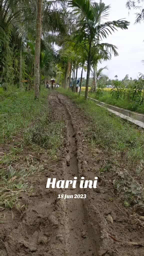 @ahmad mutuah.( CEK MAD )🌾🌾