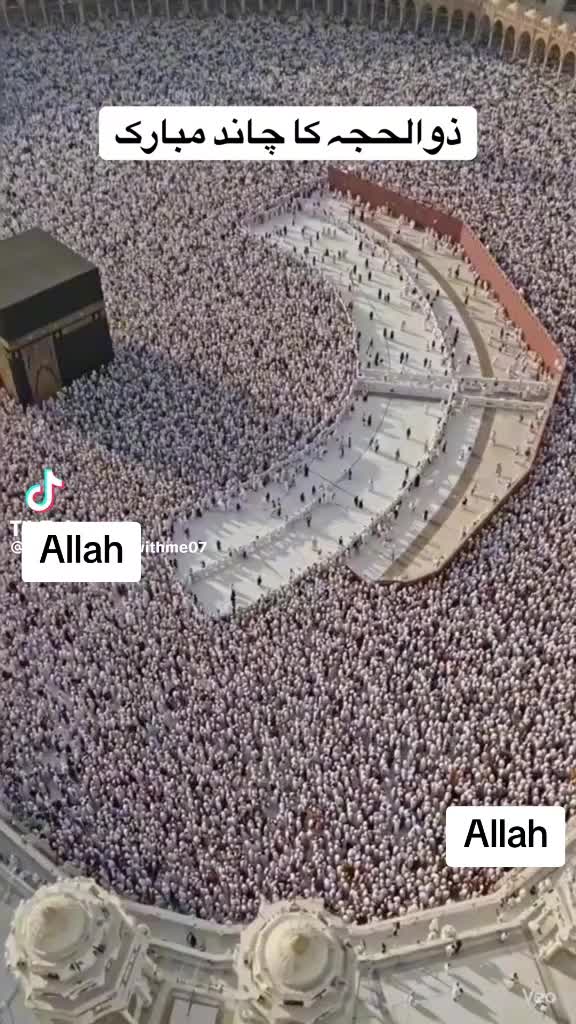 @Syeda Mujahid