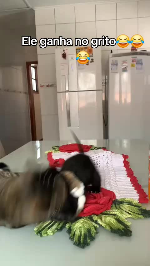 @Luci
